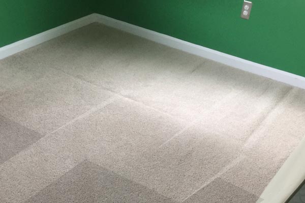 Steam Carpet Cleaning