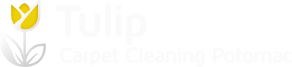 Tulip Carpet Cleaning Potomac